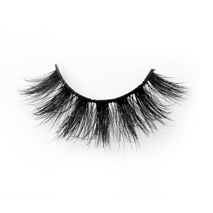 Fav Lash